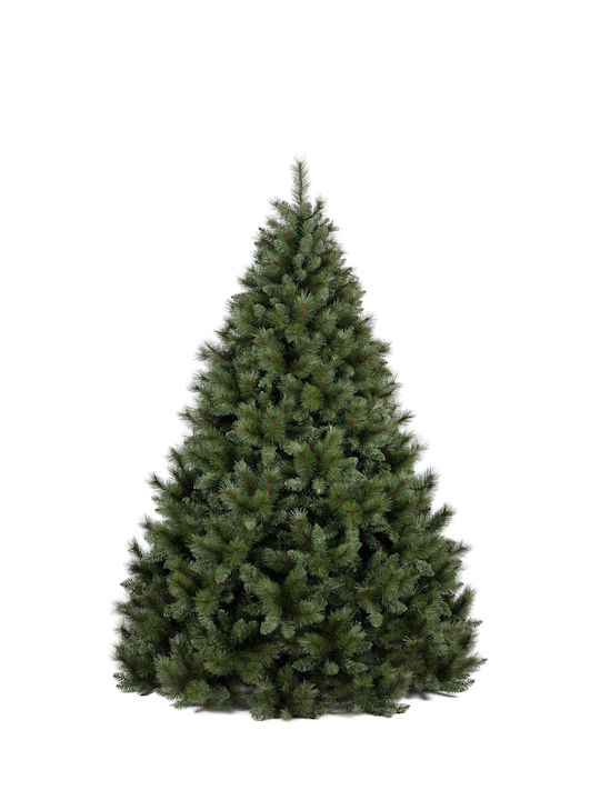 Christmas tree green colorado Gran sasso 240cm 2535tips with metal base- N25030