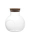 AGC Decorative Vase Transparent 10x10x10cm