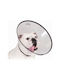 Kvp KVP Saf-T-Clear Hundehalsband aus in Transparent Farbe 25 - 38cm