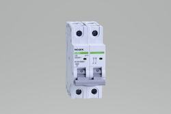 Noark 2-Poles Automatic Circuit Breaker 16A 102154