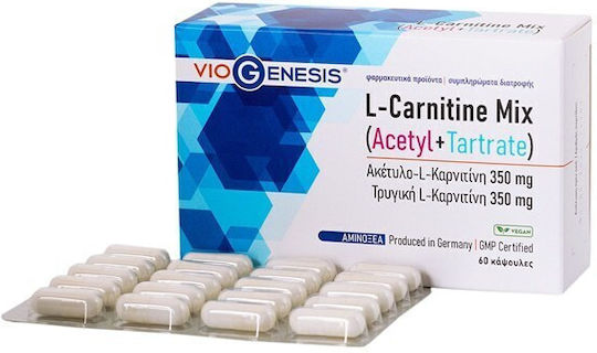 l carnitine 350 Acetyl L-Carnitine Functions & Benefits main image 0