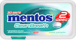 Mentos Τσίχλες Wintergreen 21gr