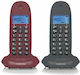 Motorola C1002 Ασύρματο Τηλέφωνο Duo Μαύρο / Μπορντό