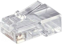 ATC Plug RJ-45 male Transparent