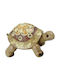 Royal Art Collection Decorative Turtle Polyresin 16.5cm 1pcs