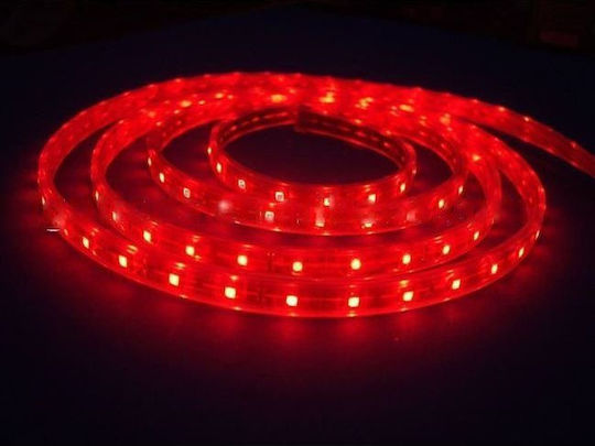 Christmas Light Tube Red 12V 5m IP20