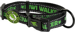 Kiwi Walker Κολάρο σε Πράσινο χρώμα 20mm x 32 - 45cm Kiwi Walker Κολάρο σε Πράσινο χρώμα 20mm x 32 - 45cm