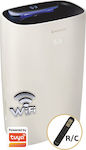 Morris Dehumidifier 25lt with Ionizer and Wi-Fi