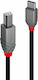 Lindy USB 2.0 Cable USB-C Male - USB-B Black 0.5m 36940