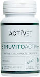 Activet StruvitoActiv Витамин за котки 39gr 372-0016