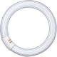 Ledvance AC34186 Λάμπα Φθορίου για Ντουί G10Q 22W