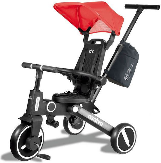 Asalvo Discovery Foldable and Convertible for 10 Months Black