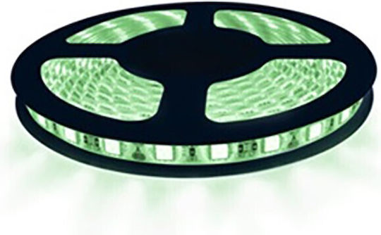 Christmas Light Tube Green 220V 1800 Light Bulbs 50m IP65