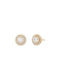 Michael Kors Earrings made of Silver Gold Plated with Stones