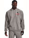 Project Rock Terry Sweatshirt mit Kapuze Gray