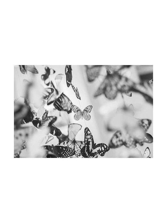 Poster Butterflies - 45cm x 30cm - Satine 150gr