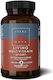 TerraNova Living Multivitamin Sport Πολυβιταμίνη για Ενέργεια 100 φυτικές κάψουλες