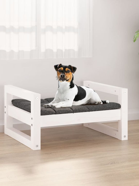 vidaXL Υπερυψωμένο Κρεβάτι Σκύλου από Μασίφ Ξύλο Πεύκου σε Λευκό χρώμα 55.5x45.5cm
