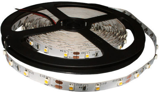 Redled Водоустойчива LED Лента 12V RGB Светлина 5м с Захранване