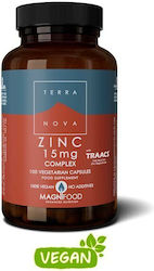 TerraNova Zinc Complex TerraNova Zinc Complex