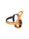 Nobby Dog Harness Training Classic Preno Orange Large / X-Large 45mm x 68-85cm 80534-04