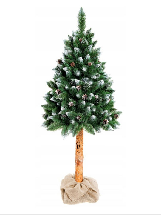 Christmas Pine ''DIAMOND PINE'' MCHP12 90-100cm