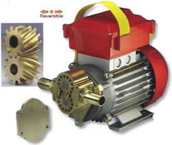 Rover Pompa Cu Putere 0.6 CP 12V Rover Pompa Cu Putere 0.6 CP 12V