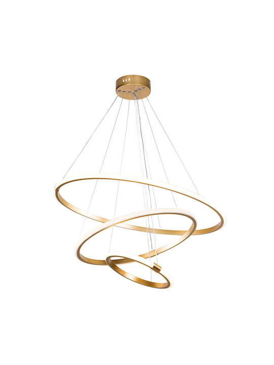 Pakketo PWL-1156 Pendant Light LED Gold