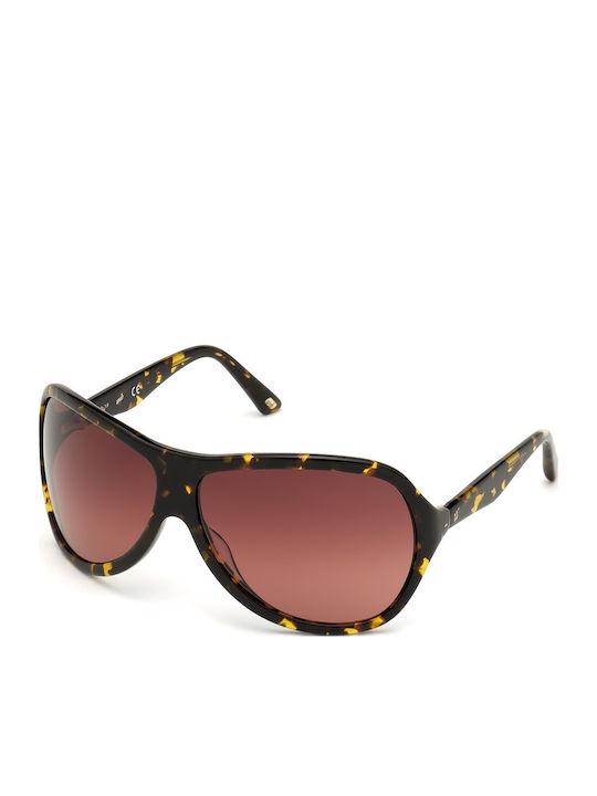 Web Women's Sunglasses with Brown Tartaruga Pla...