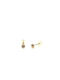 Mono stone earrings 14K Gold