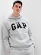Sweatshirt mit Kapuze Gray