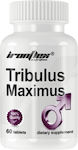 Ironflex Nutrition Tribulus Maximus 60 Registerkarten