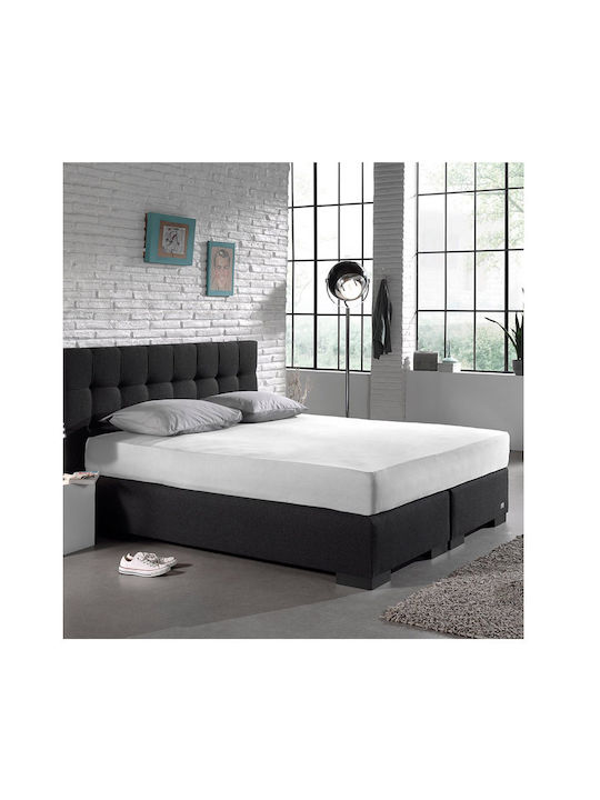 DreamHouse Sheet Double with Elastic 140x200+30cm. Dubbel Jersey White
