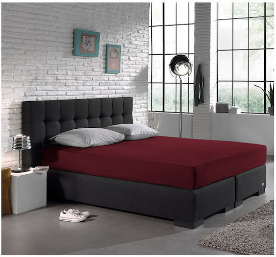 DreamHouse Jersey King Size 190x200+30εκ. με Λάστιχο Μπορντό DreamHouse Jersey King Size 190x200+30εκ. με Λάστιχο Μπορντό