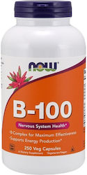 Now Foods B-100 Βιταμίνη για την Υγεία του Νευρ...
