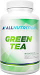 AllNutrition Green Tea 1000mg 90 κάψουλες