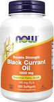 Now Foods Black Currant Oil 1000mg 100 μαλακές κάψουλες