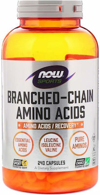 Now Foods Branched Chain Amino Acids 240 caps