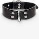 Taboom Elegant D-Ring Collar Guler în Culoare Negru