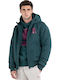 Winter Jacket Green
