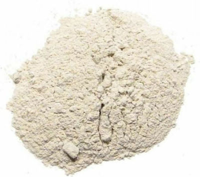 Metron Lithopone Hagiography Powder Painting 1000gr 884.00160