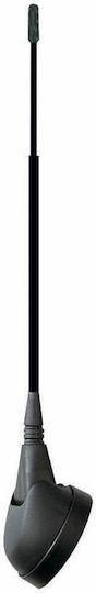 Phonocar Car Antenna Roof Threaded for Radio in Black Color