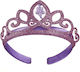 Carnival Accessory Purple