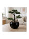 Artificial Plant in Small Pot Bonsai Black 34cm