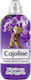 Cajoline Weichspüler Intense Care mit Duft Heidelbeere und lila Orchidee 1x1196ml