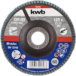 KWB Δίσκος Λείανσης 125mm