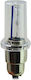 Beltec Audio Lampen Auto D3S Xenon 6000K Kaltes Weiß 1Stück