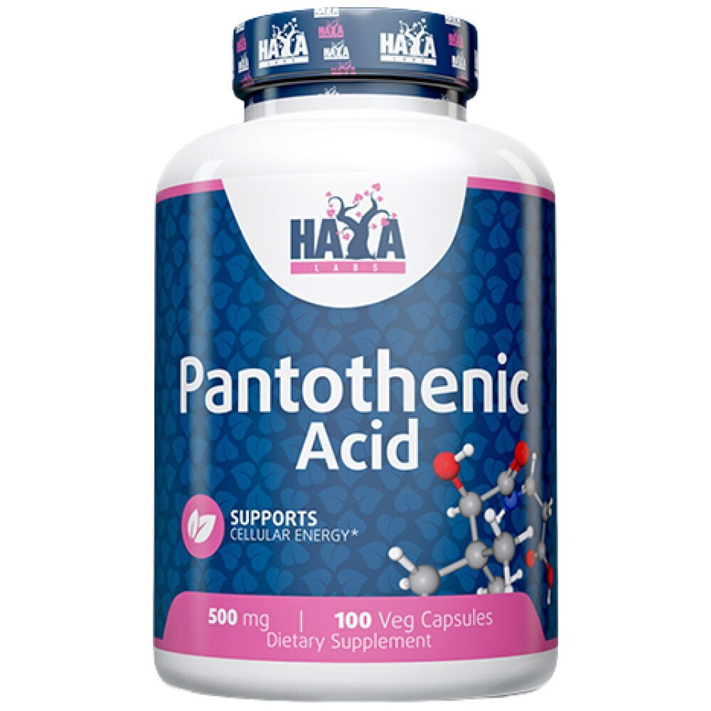 Haya Labs Pantothenic Acid Sugar, Salt & Starch Free 500mg 100 κάψουλες