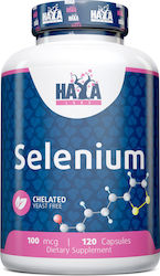 Haya Labs Selenium Chelated 120 caps