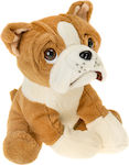 Plush Bulldog MIX 6663592